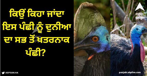 most dangerous bird in the world of this bird know why Most Dangerous Bird: ਕਿਉਂ ਕਿਹਾ ਜਾਂਦਾ ਇਸ ਪੰਛੀ ਨੂੰ ਦੁਨੀਆ ਦਾ ਸਭ ਤੋਂ ਖਤਰਨਾਕ ਪੰਛੀ? ਗਿਨੀਜ਼ ਵਰਲਡ ਰਿਕਾਰਡ ਵਿੱਚ ਨਾਮ ਦਰਜ