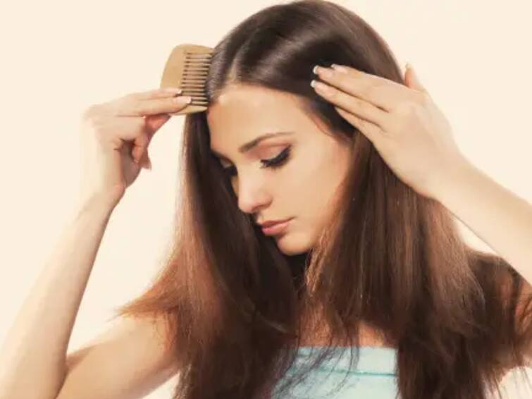 Struggling With Dry Winter Hair 4 Diet Tips You Need To Try Now care Hair Care : குளிர்காலத்தில் கூந்தல் வறண்டு பொலிவிழந்து போகிறதா? இந்த டிப்ஸை பின்பற்றுங்க... முடி பொலிவா இருக்கும்...