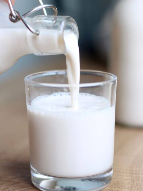 दूध दराच्या प्रश्नावरुन शेतकरी आक्रमक, अहमदनगर जिल्ह्यात आमरण उपोषण सुरु