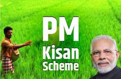 PM Kisan Scheme: ਨਹੀਂ ਮਿਲੇ ਪੀਐਮ ਕਿਸਾਨ ਯੋਜਨਾ ਦੇ 15ਵੀਂ ਕਿਸ਼ਤ ਦੇ ਪੈਸੇ, ਇੰਝ ਦਰਜ ਕਰਵਾਓ ਆਨਲਾਈਨ ਸ਼ਿਕਾਇਤ