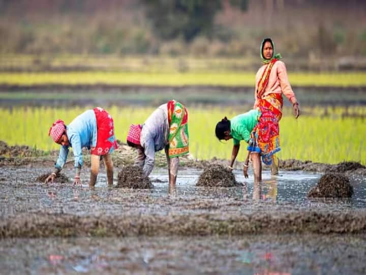 किसानों ऑनलाइन अपनी शिकायत दर्ज करवा सकते हैं. इसके लिए वह pmkisan-ict@gov.in पर मेल कर सकते हैं.