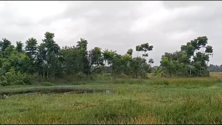 শনিবার সকালে বাংলাদেশের খেপুপাড়া ও মংলার মধ্যে স্থলভাগে আছড়ে পড়বে 'মিধিলি'।