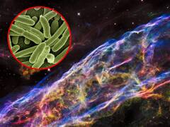 क्या सच में अंतरिक्ष से आ रहे हैं खतरनाक एलियन वायरस? वैज्ञानिकों ने कही बड़ी बात