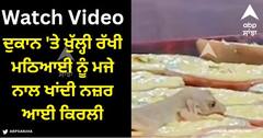 Viral Video: ਮਠਿਆਈ ਦੀ ਦੁਕਾਨ 'ਤੇ ਖੁੱਲ੍ਹੀ ਰੱਖੀ ਗਈ ਮਠਿਆਈ, ਮਜੇ ਨਾਲ ਖਾਂਦੀ ਨਜ਼ਰ ਆਈ ਕਿਰਲੀ, ਦੇਖੋ ਵੀਡੀਓ