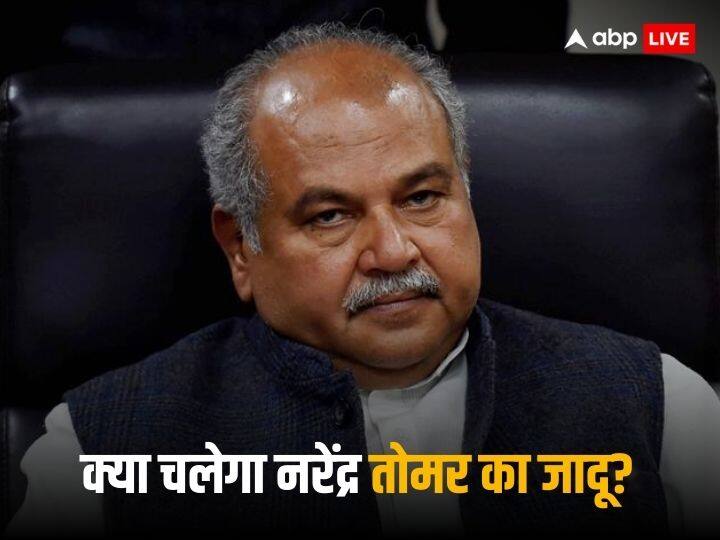 मुरैना जिले की दिमनी सीट पर बीजेपी ने इस बार सांसद नरेन्द्र सिंह तोमर को उतारा है. इस सीट पर कांग्रेस ने मौजूदा विधायक रविंद्र तोमर को टिकट दिया है.