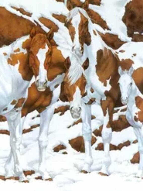 इस तस्वीर में छिपे घोड़े क्या ढूंढ पाएंगे आप, दिमाग चकरा देगी ये तस्वीर