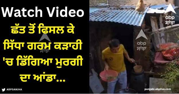 hen egg slipped from the roof and fell straight into the hot pan funny video viral Viral Video: ਛੱਤ ਤੋਂ ਫਿਸਲ ਕੇ ਸਿੱਧਾ ਗਰਮ ਕੜਾਹੀ 'ਚ ਡਿੱਗਿਆ ਮੁਰਗੀ ਦਾ ਆਂਡਾ, ਵਾਇਰਲ ਵੀਡੀਓ ਦੇਖ ਕੇ ਹੱਸ-ਹੱਸ ਕਮਲੇ ਹੋ ਜਾਓਗੇ