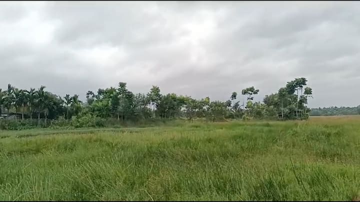 ভারী বৃষ্টি হতে পারে উত্তর ও দক্ষিণ ২৪ পরগনায়। দুই জেলাতেই জারি হয়েছে হলুদ সতর্কতা।