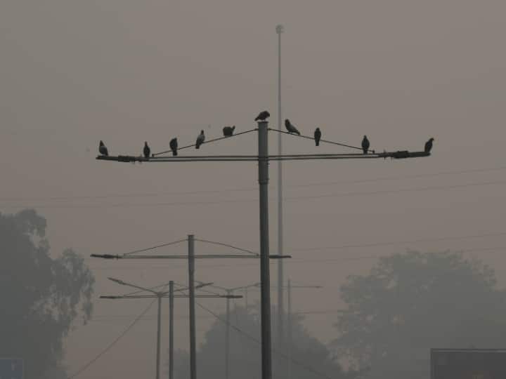 Haryana Air Pollution Doctors advised precautions Against Poor Air Quaility AQI Haryana Air Pollution: हरियाणा में जहरीली हवा बढ़ा रही सांसों पर संकट, घेरने लगीं बीमारियां, सावधानी बरतने की सलाह