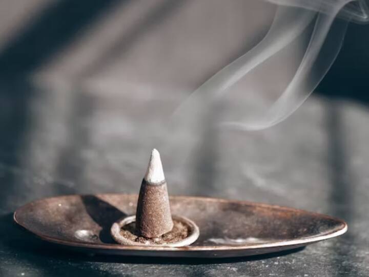 DIY Incense Cone : வீட்டில் பண வரவை அதிகரிக்க உதவும் சாம்பிராணியை வீட்டில் எப்படி செய்வது என்று விரிவாக பார்க்கலாம்.