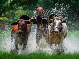 Kisan Credit Card: ਕਿਸਾਨ ਕ੍ਰੈਡਿਟ ਕਾਰਡ ਰਾਹੀਂ ਸਸਤੇ ਵਿਆਜ ਦਰਾਂ 'ਤੇ ਮਿਲਦਾ ਇੰਨੇ ਲੱਖ ਤੱਕ ਦਾ ਲੋਨ, ਇਨ੍ਹਾਂ ਦਸਤਾਵੇਜ਼ਾਂ ਦੀ ਪਵੇਗੀ ਲੋੜ