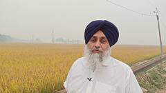 Paddy Purchase: ਸੁਖਬੀਰ ਬਾਦਲ ਦੇ ਹਲਕੇ ਦੀਆਂ 198 ਦਾਣਾ ਮੰਡੀਆਂ ਮਾਨ ਸਰਕਾਰ ਨੇ ਕੀਤੀਆਂ ਬੰਦ, ਬਾਦਲ ਨੇ ਖੇਤਾਂ 'ਚ ਜਾ ਕੇ ਕੱਢੀ ਭੜਾਸ 