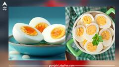 Egg: ਅੰਡੇ ਖਾਣ ਸਰੀਰ ਨੂੰ ਕਈ ਤਰ੍ਹਾਂ ਦੇ ਫਾਇਦੇ ਮਿਲਦੇ ਨੇ, ਪਰ ਵਧੇ ਹੋਏ ਕੋਲੈਸਟ੍ਰੋਲ 'ਚ ਇਸ ਤਰ੍ਹਾਂ ਖਾ ਸਕਦੇ ਹੋ ਅੰਡੇ