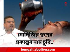 কেন্দ্রের প্রকল্প রাজ্যের নামে ! শুভেন্দুর নিশানায় TMC বিধায়ক