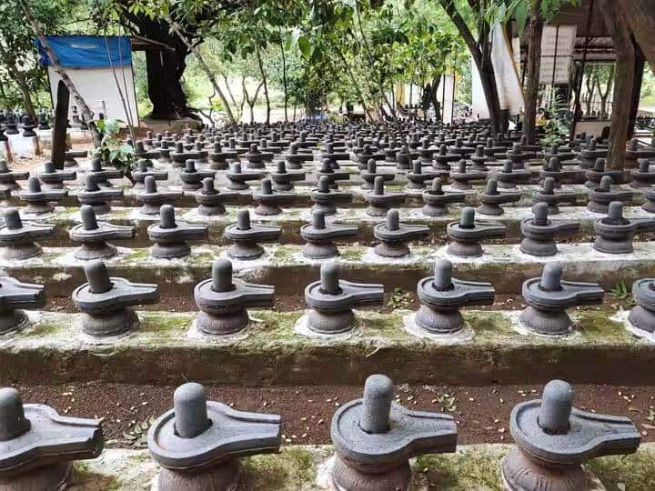 Theni: Do you know where the devotional ecstatic Kodi Lingam temple is? Theni: பக்தி பரவசமூட்டும் பிரசித்தி பெற்ற கோடி லிங்கம் கோயில்: சிறப்பம்சங்கள் என்ன?