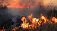 Stubble burning: ਫਿਰ ਆ ਗਿਆ ਪਰਾਲੀ ਅਤੇ ਪ੍ਰਦੂਸ਼ਣ ਦਾ ਸੀਜ਼ਨ, ਜਾਣੋ ਪ੍ਰਦੂਸ਼ਣ ‘ਚ ਇਸ ਦੀ ਕਿੰਨੀ ਭੂਮਿਕਾ, ਕਿਵੇਂ ਹਵਾ ਨੂੰ ਕਰ ਰਿਹਾ ਖ਼ਰਾਬ