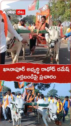 ఎడ్లబండిపై ప్రచారం చేసిన ఖానాపూర్ బీజేపీ అభ్యర్థి