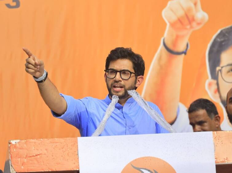 Aaditya Thackeray attacked on Shinde Group said they are making this country Pakistan also speaks about MLA Disqualification verdict detail marathi news Aaditya Thackeray : हे गद्दार देशाचा पाकिस्तान करतायत, शिवाजी पार्कात आदित्य ठाकरे कडाडले