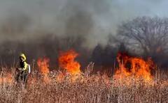 Stubble burning: ਫਿਰ ਆ ਗਿਆ ਪਰਾਲੀ ਅਤੇ ਪ੍ਰਦੂਸ਼ਣ ਦਾ ਸੀਜ਼ਨ, ਜਾਣੋ ਪ੍ਰਦੂਸ਼ਣ ‘ਚ ਇਸ ਦੀ ਕਿੰਨੀ ਭੂਮਿਕਾ, ਕਿਵੇਂ ਹਵਾ ਨੂੰ ਕਰ ਰਿਹਾ ਖ਼ਰਾਬ