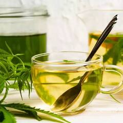 Cannabis Tea: ਭੰਗ ਦੀ ਚਾਹ ਵੀ ਦੂਰ ਕਰਦੀ ਬਿਮਾਰੀਆਂ