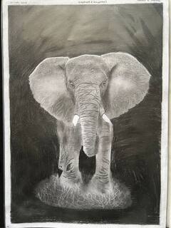 Art Exhibition: डोंबिवलीत रंगतंय आकर्षक चित्र प्रदर्शन! बालदिनानिमित्त लहानग्यांनी रेखाटली सुंदर चित्रं