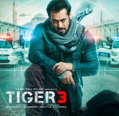 Shah Rukh  की 'जवान' से लेकर Salman की 'टाइगर 3' तक ताबड़तोड़ एक्शन से भरी हैं ये 7 फिल्में, जानिए- कहां देख सकते हैं