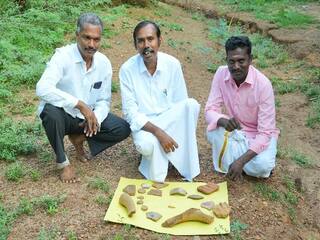 Sivagangai: பாண்டியன் கோட்டையில் எலும்பாலான பழங்காலக் கருவி கண்டுபிடிப்பு