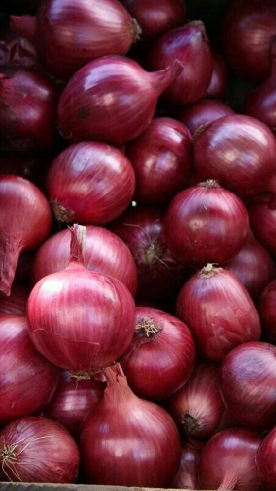 अमेरिकेत कांद्याला किती दर? एकूण व्हाल थक्क