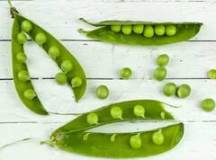 Pea: ਸਰਦੀਆਂ ‘ਚ ਨਹੀਂ ਖਰੀਦਣੇ ਪੈਣਗੇ ਬਾਜ਼ਾਰ ਤੋਂ ਮਟਰ, ਘਰ ‘ਚ ਇਦਾਂ ਲਾਓ ਮਟਰ