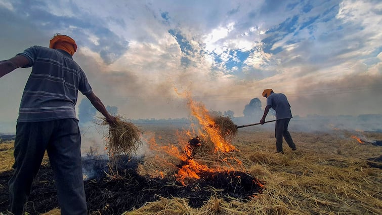 A fine of more than 2 crores was imposed on the farmers for burning stubble but the government could not recover it Stubble Burning: ਪਰਾਲੀ ਸਾੜਨ ਵਾਲੇ ਕਿਸਾਨਾਂ ‘ਤੇ 2 ਕਰੋੜ ਤੋਂ ਵੱਧ ਦਾ ਜੁਰਮਾਨਾ ਪਰ ਵਸੂਲ ਨਹੀਂ ਸਕੀ ਸਰਕਾਰ, ਕੋਰਟ ਨੇ ਪਾਈ ਝਾੜ