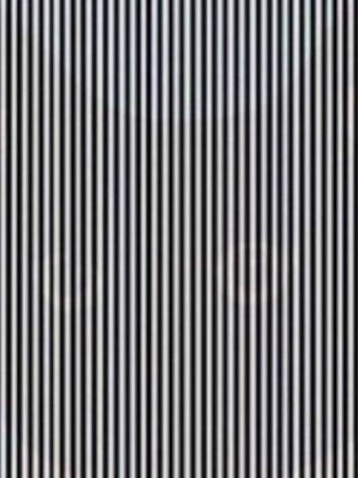 इस तस्वीर में छिपी हुई बिल्ली क्या ढूंढ पाएंगे आप, दिमाग चकरा देगी ये तस्वीर