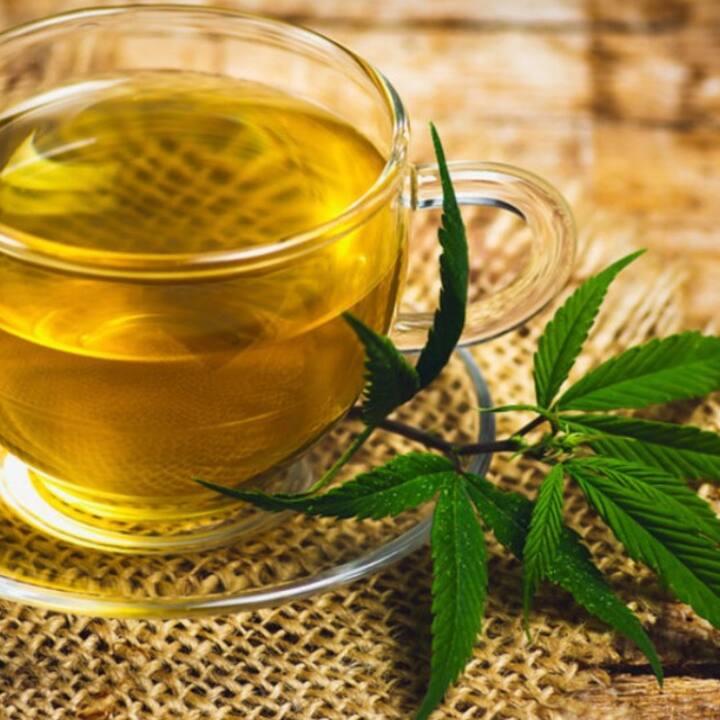 Cannabis Tea:  ਭੰਗ ਦੀ ਚਾਹ ਵੀ ਦੂਰ ਕਰਦੀ ਬਿਮਾਰੀਆਂ