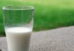 दुधाच्या दरात घसरण किसान सभेचा सरकारला इशारा