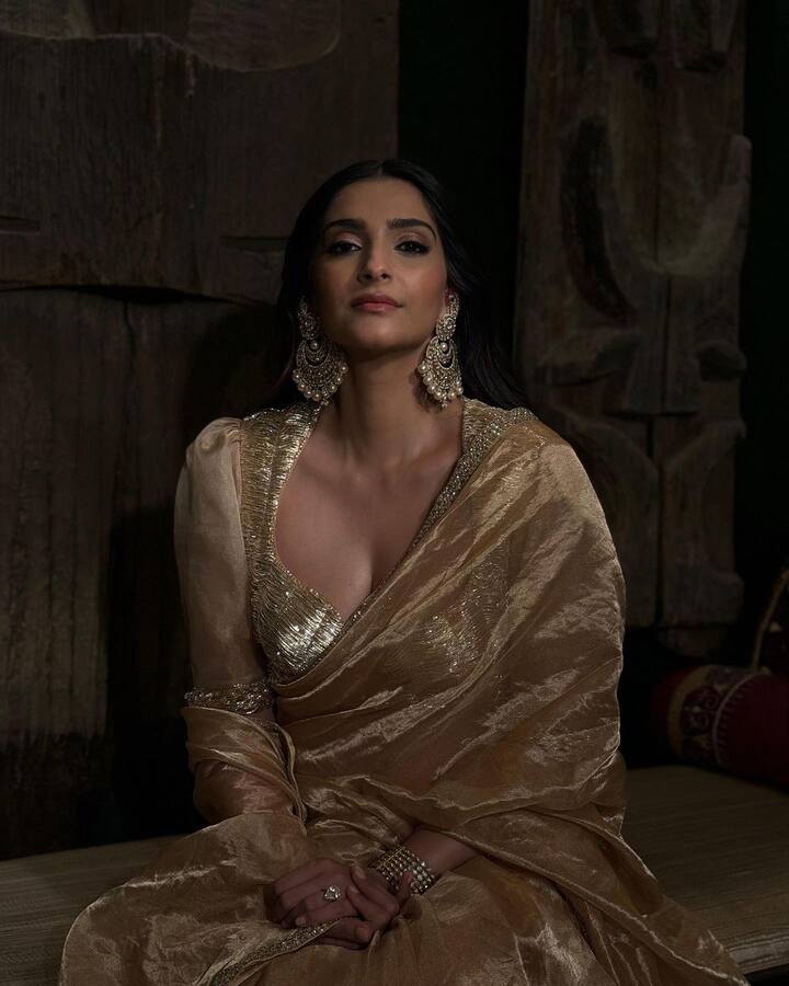 చీరకు తగ్గట్లు భారీ చెవిరింగులతో తన లుక్స్​ని మరింత గ్లామ్ అప్ చేసింది.