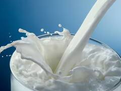 दुधाच्या दरात घसरण किसान सभेचा सरकारला इशारा