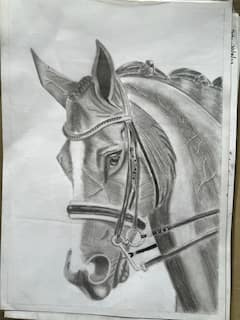 Art Exhibition: डोंबिवलीत रंगतंय आकर्षक चित्र प्रदर्शन! बालदिनानिमित्त लहानग्यांनी रेखाटली सुंदर चित्रं