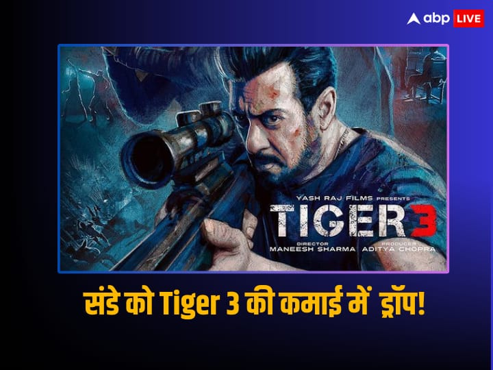 Tiger 3 Box Office Collection Day 8 Salman khan film earning drop ahead of India vs aus World Cup 2023 Tiger 3 Box Office Collection Day 8: संडे को Tiger 3 की कमाई में भयंकर ड्रॉप, World Cup ने  Salman Khan की फिल्म को डुबो दिया! जानें कलेक्शन