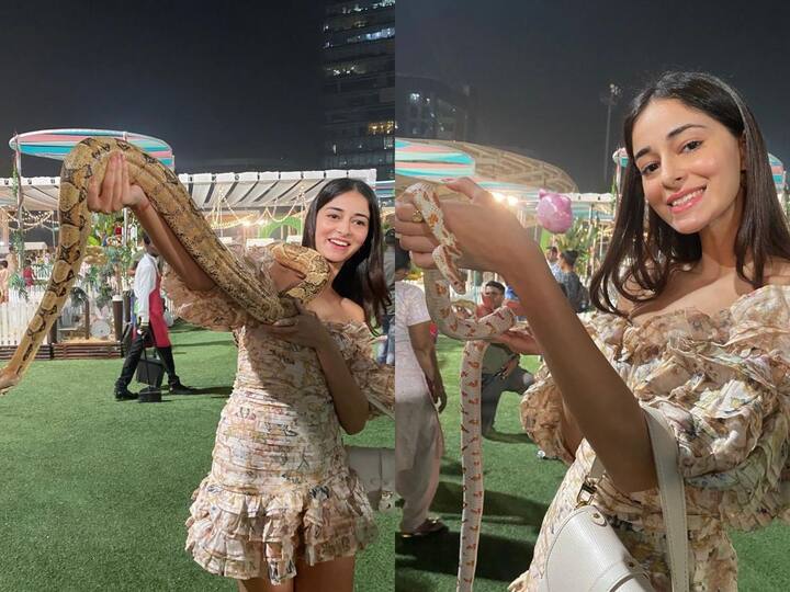 Ananya Pandey Photos : பாம்புகளோடு ஜாலியான போஸ் கொடுத்த பாலிவுட் நடிகை அனன்யா பாண்டேவின் புகைப்படங்களை இங்கு பார்க்கலாம்.