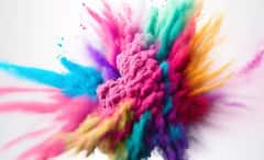 Science Behind Colours: চারপাশ রঙিন লাগে চোখে, কিন্তু সাদা-কালো-গোলাপি কি আদৌ রং? বিজ্ঞান যা বলে...