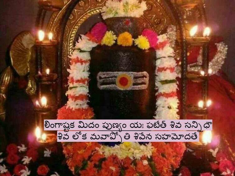 Karthika Masam 2023 importance of  Lingashtakam Lord Shiva Devotional slokas Karthika Masam Lingashtakam:లింగరూపంలో కొలువైన పరమేశ్వరుడి ఆరాధన వెనుకున్న ఆంతర్యం ఇదే!