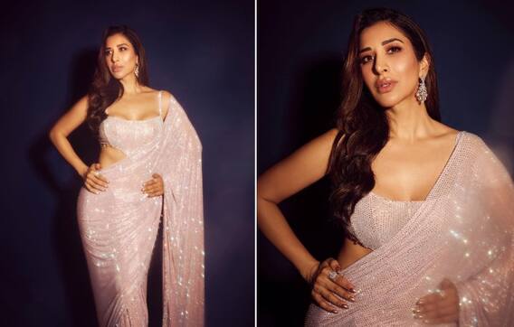 Sophie Choudry: Singer Sophie Choudry shared bold pictures in saree, fans were surprised to see her hot look.
