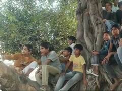 मोहम्मद शमी के गांव में वर्ल्ड कप का खुमार, भारत-ऑस्ट्रेलिया का फाइनल देखने पेड़ पर चढ़े लोग