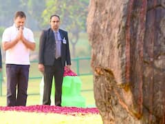 'For India A PM, For Me My Grandmother': Rahul Shares Rare Photo With Indira Gandhi — See Pic