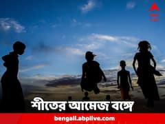 জগদ্ধাত্রী পুজোয় শীতের আমেজ, আগামী সপ্তাহে পারদ পতনের পূর্বাভাস