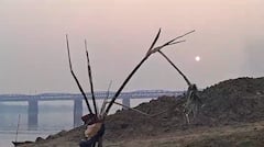 Chhath Puja 2023: प्रयागराज में तीसरे दिन घाटों पर उमड़ी छठ व्रतियों की भीड़, डूबते सूर्य को दिया अर्घ्य