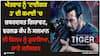 Tiger 3: ਐਤਵਾਰ ਨੂੰ 'ਟਾਈਗਰ 3' ਦੀ ਕਮਾਈ 'ਚ ਜ਼ਬਰਦਸਤ ਗਿਰਾਵਟ, ਵਰਲਡ ਕੱਪ ਨੇ ਸਲਮਾਨ ਦੀ ਫਿਲਮ ਨੂੰ ਡੁਬਾਇਆ, ਜਾਣੋ ਕਲੈਕਸ਼ਨ