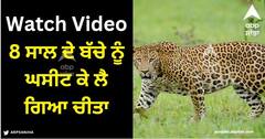 Viral Video: 8 ਸਾਲ ਦੇ ਬੱਚੇ ਨੂੰ ਘਸੀਟ ਕੇ ਲੈ ਗਿਆ ਚੀਤਾ, ਹੈਰਾਨ ਕਰਨ ਵਾਲਾ ਵੀਡੀਓ ਆਇਆ ਸਾਹਮਣੇ