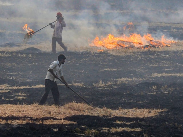 Punjab Pollution Today Police Registered 932 FIR Against Farmers For  Stubble Burning | Punjab Pollution: पराली जलाने पर 930 किसानों पर FIR दर्ज,  करोड़ों रुपये का लगा जुर्माना