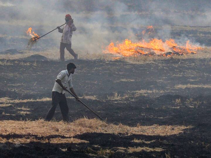Punjab Pollution Today police registered 932 FIR against farmers for stubble burning Punjab Pollution: पराली जलाने पर 930 किसानों पर FIR दर्ज, करोड़ों रुपये का लगा जुर्माना