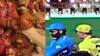 Wordlcup2023: ਕ੍ਰਿਕੇਟ ਪ੍ਰੇਮੀਆਂ ਨੂੰ ਵਿਸ਼ਵ ਕੱਪ ਫਾਈਨਲ ਦਾ ਚੜ੍ਹਿਆ ਜਨੂਨ, ਵਿਆਹ ਦੇ ਪ੍ਰੋਗਰਾਮ 'ਚ ਵੀ ਲਾਈ ਮੈਚ ਦੀ ਲਾਈਵ ਸਕ੍ਰੀਨ, ਵੇਖੋ ਵੀਡੀਓ